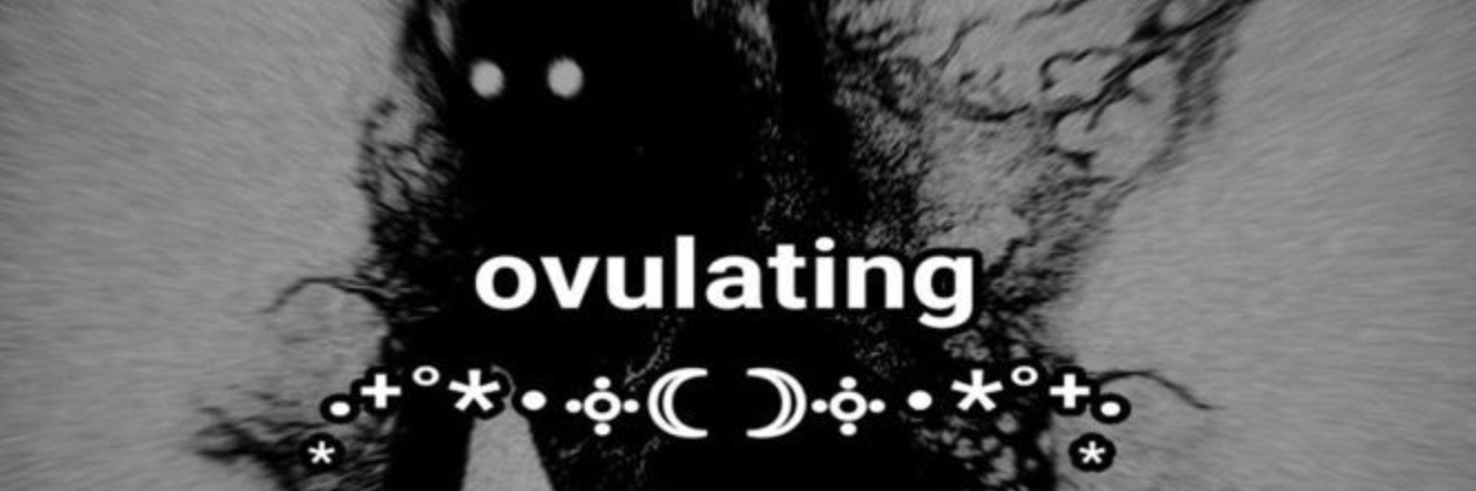 shru__6's profile banner image