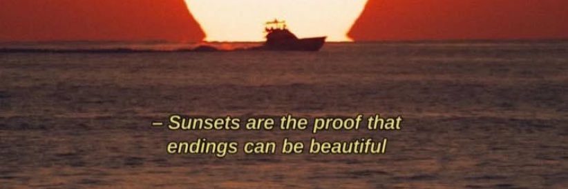 _reema8_'s profile banner image