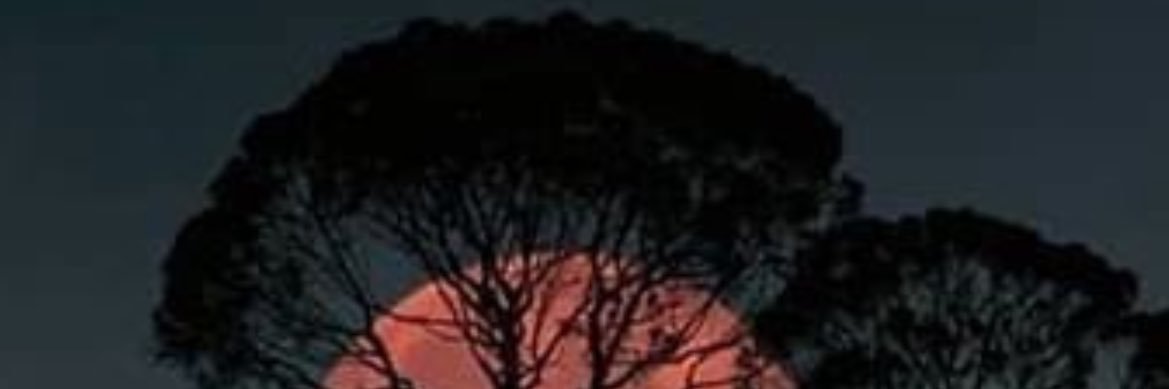 Hmtrcn's profile banner image
