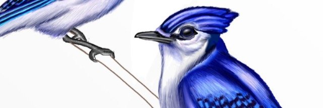 jaylareddick's profile banner image