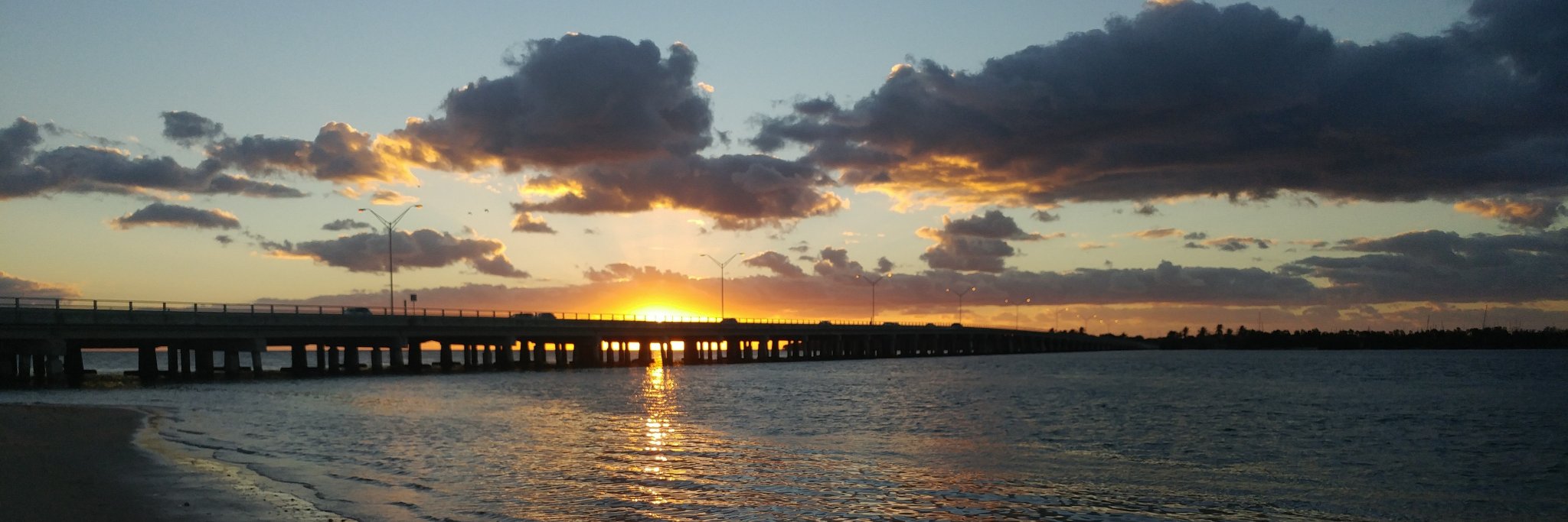 MiamiSeaGrant's profile banner image