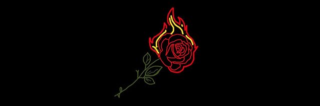 solmorrell's profile banner image