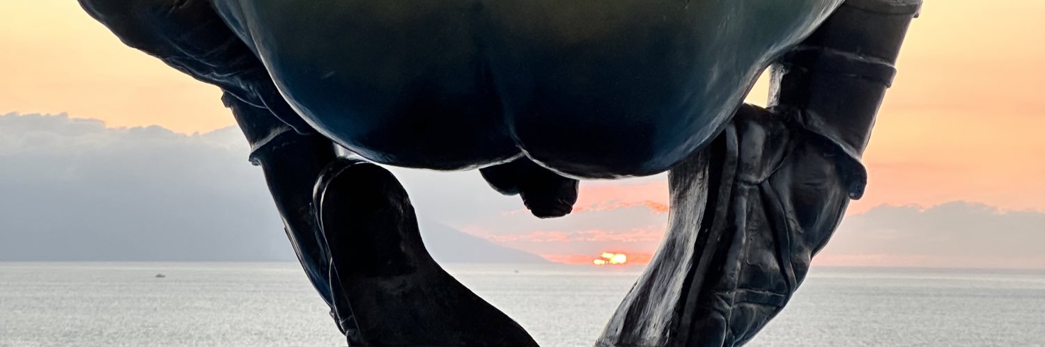 kmcelroy's profile banner image