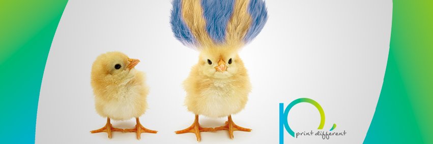 Cloître Imprimeurs banner