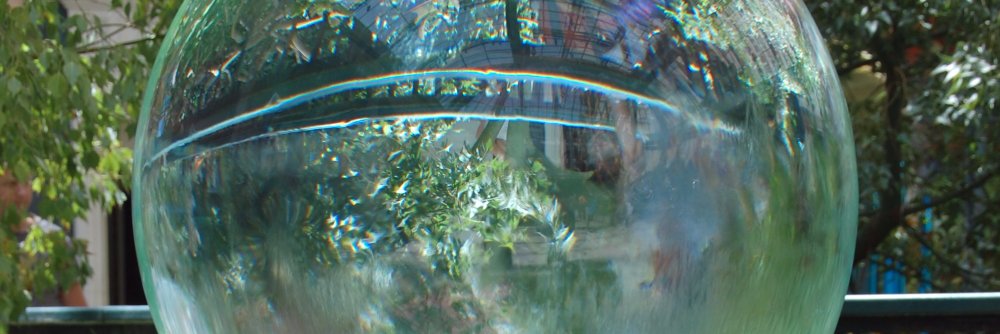 lizzybo's profile banner image