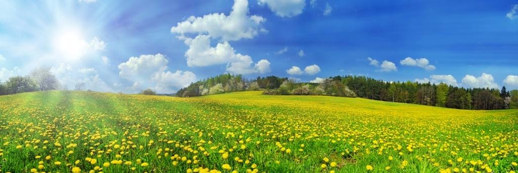 Learning Outside banner