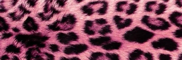 BlessedInBliss Profile Banner