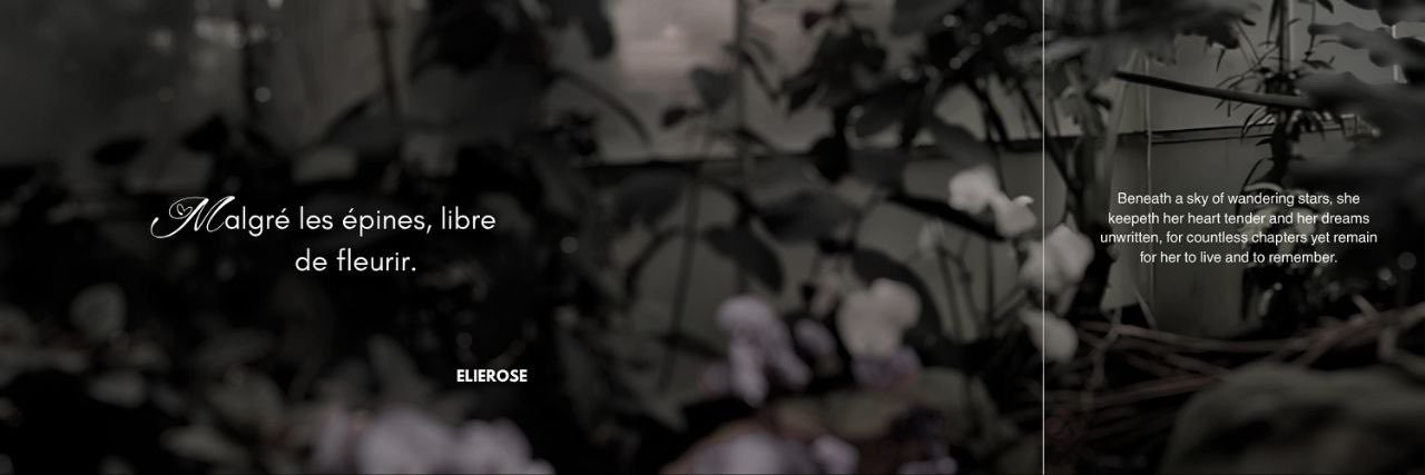 laulierose's profile banner image
