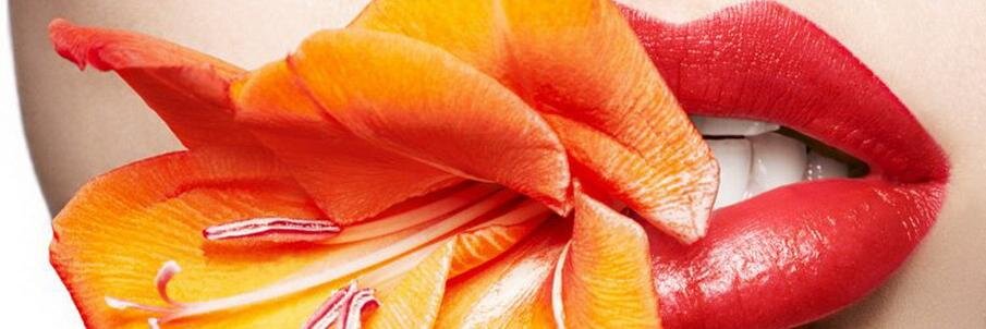 4029249231's profile banner image