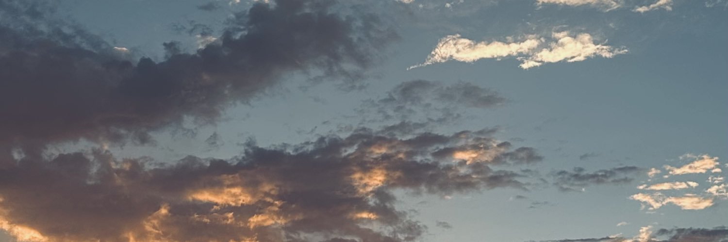 MichelYlanMX's profile banner image