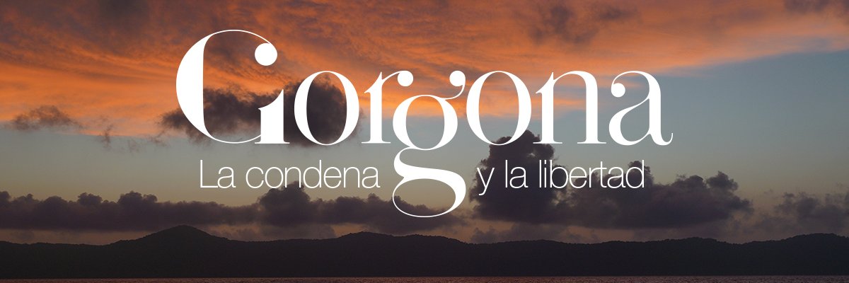 Claudia Cuadrado banner
