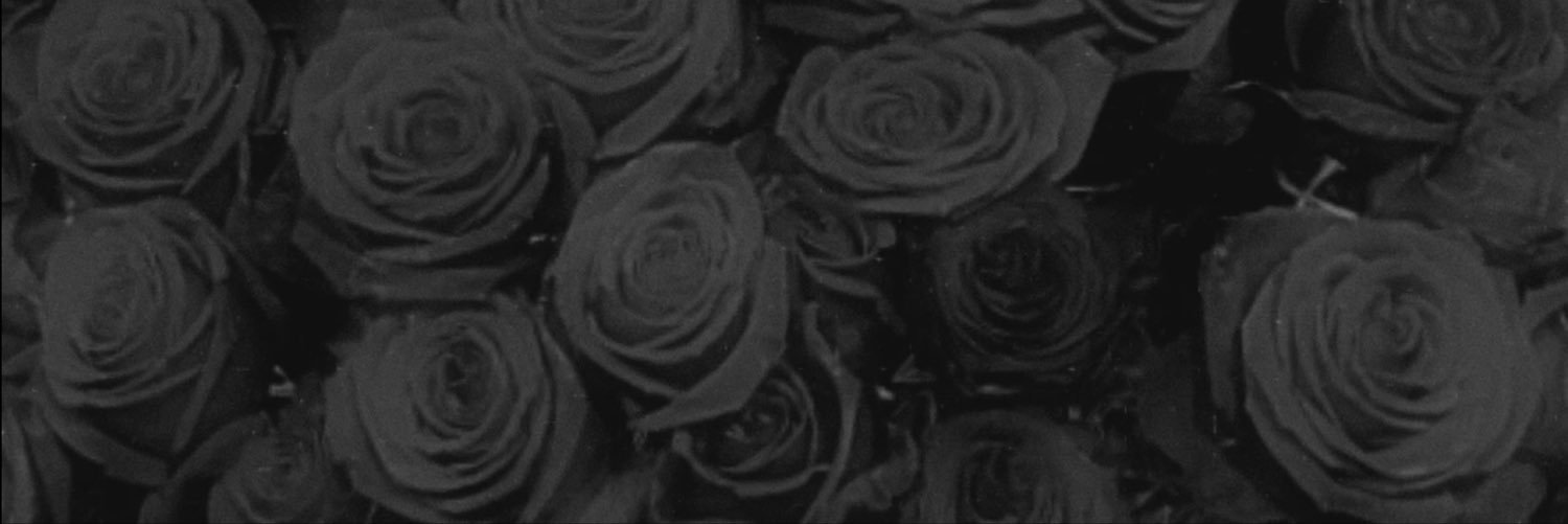 novel_remu's profile banner image
