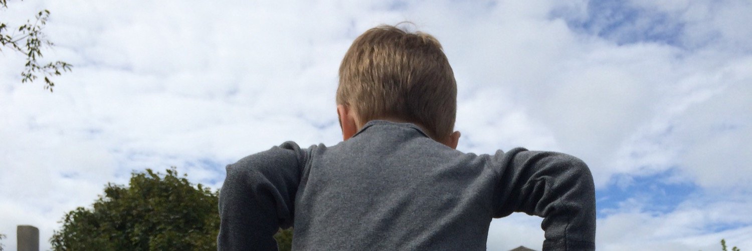 leeschneider's profile banner image