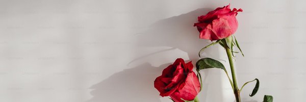 CosaMorena Profile Banner