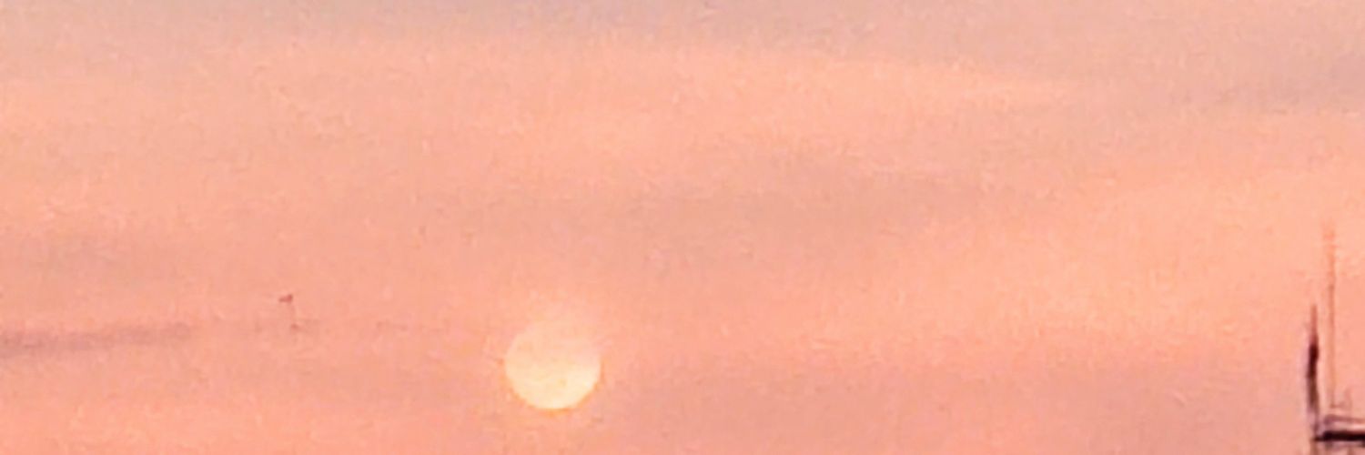 Cathii2321's profile banner image