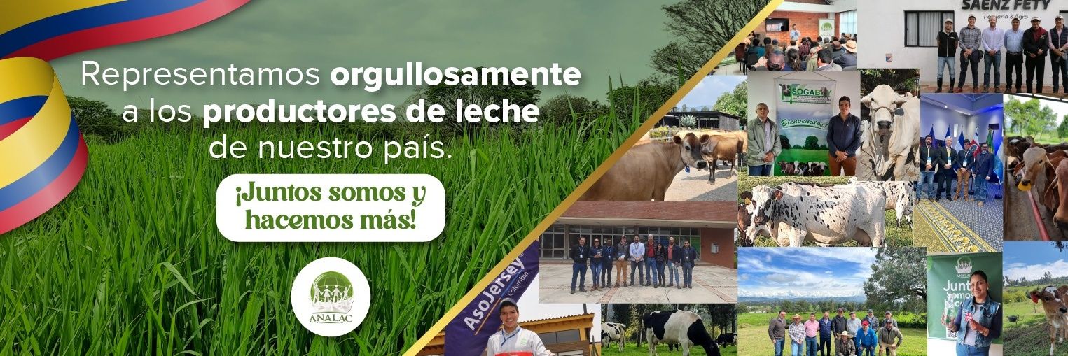 Analac_COL's profile banner image