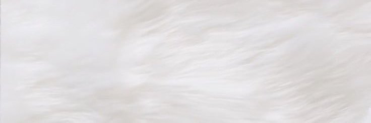 さややん🐯💘 banner