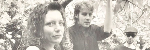 shesinthetrees Profile Banner