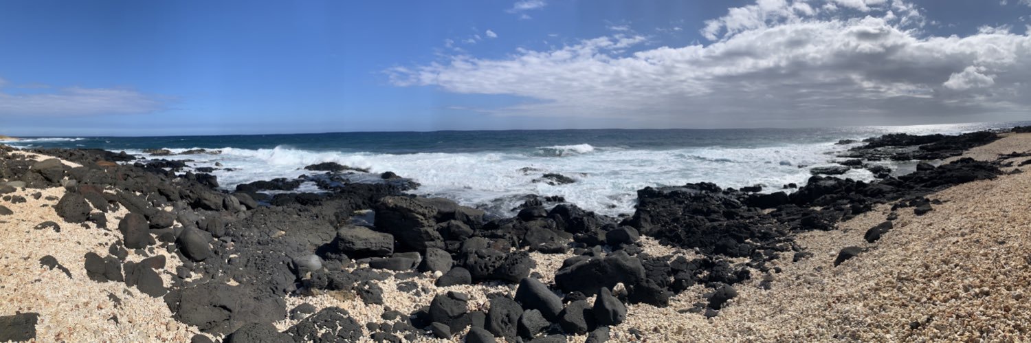 Anne-Marie Fenn banner