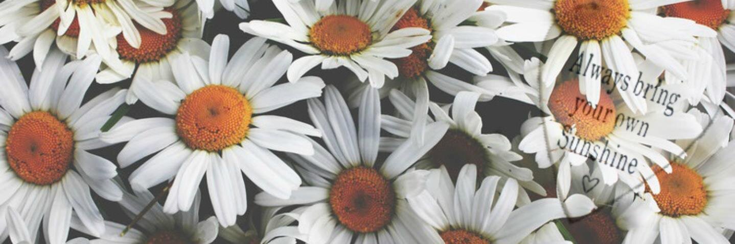 LostlnStere0's profile banner image