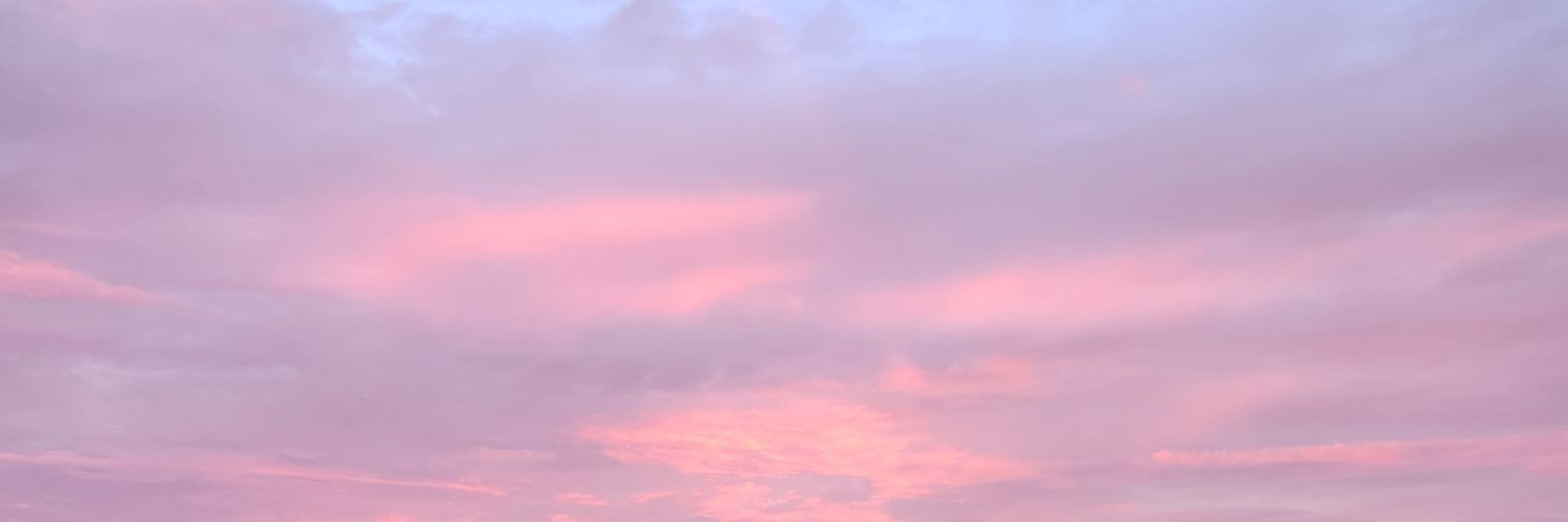 BloxyDaRandomIdiot banner