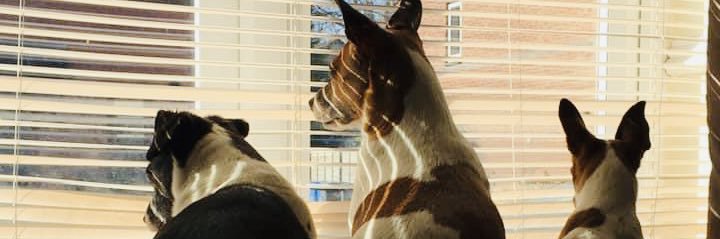 cherrieb69's profile banner image
