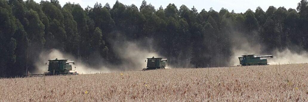 Alejandro Solsona banner