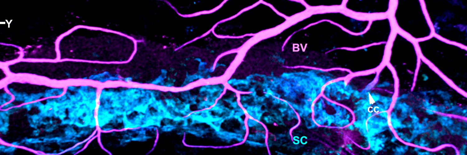cubical/kizhatil banner