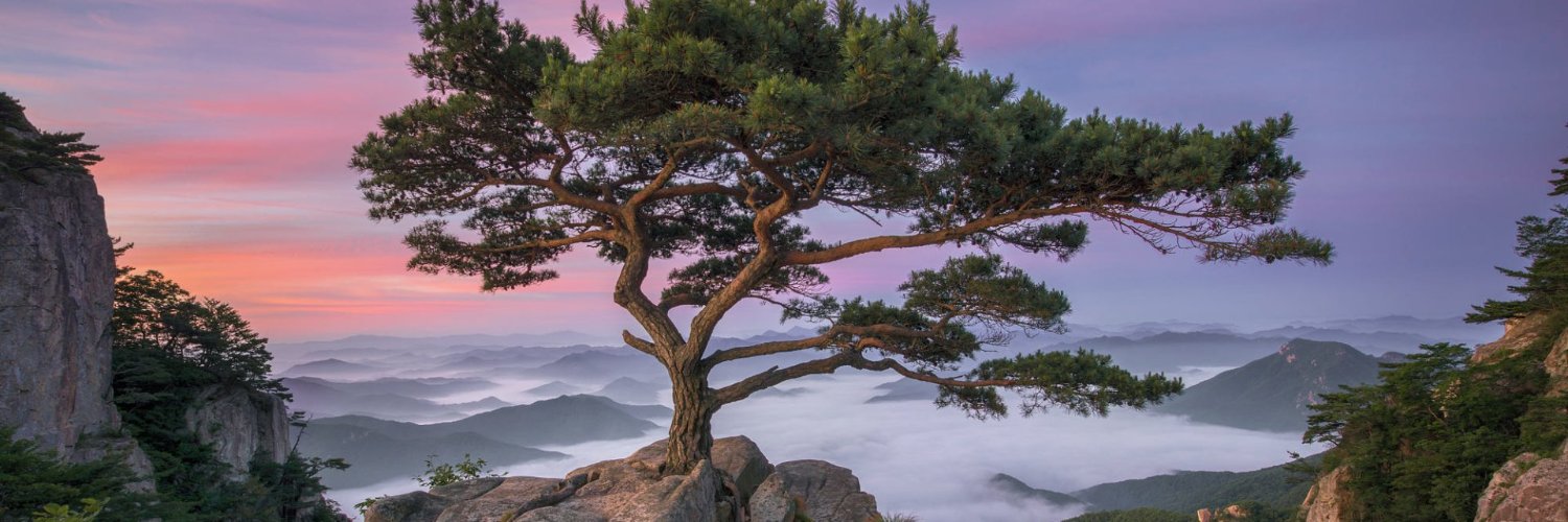 pacman_OW's profile banner image