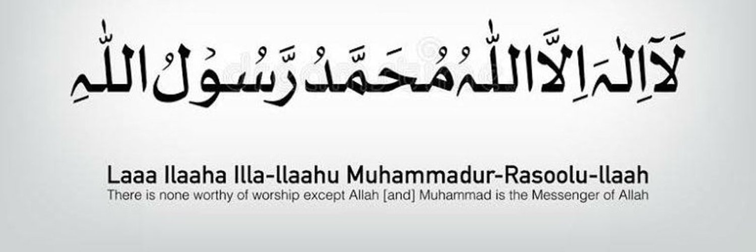 Zareen Fatima banner