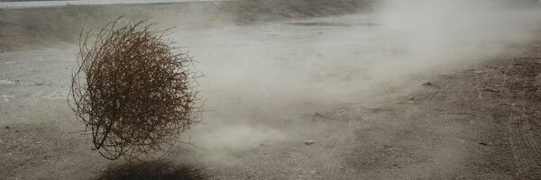maxicorbo's profile banner image