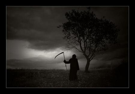 SilentDeath562's profile banner image