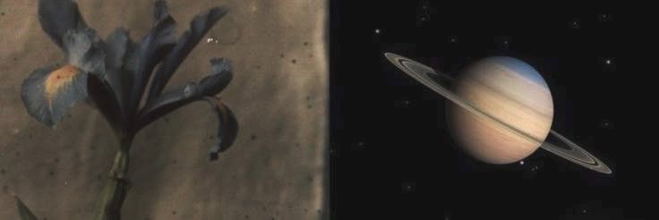 ؘ banner