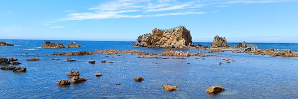 n_toose Profile Banner