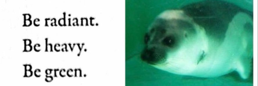 bug 🦭 sealtwt ✨ banner