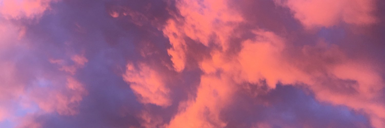 ___heidii's profile banner image