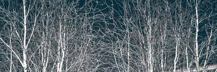 ihxxan's profile banner image