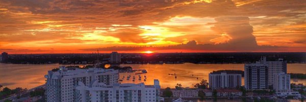 wsvn Profile Banner
