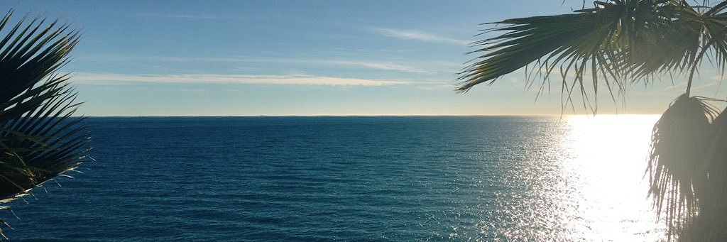 shake_tofu's profile banner image