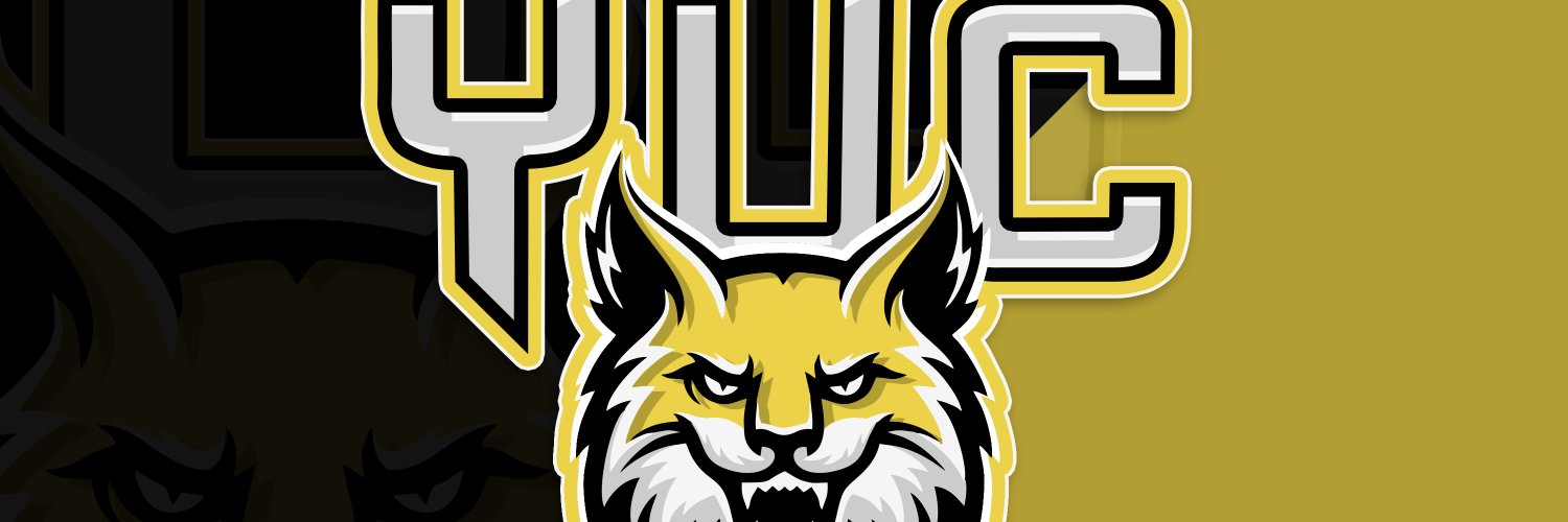 Director King banner