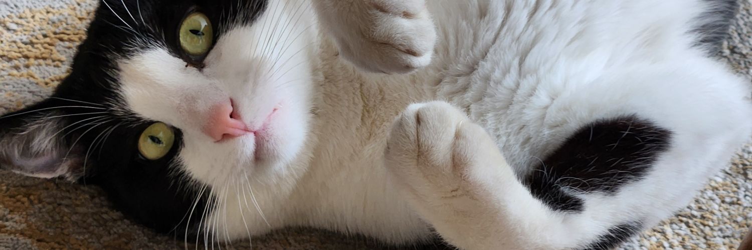 Missy makeamessy banner