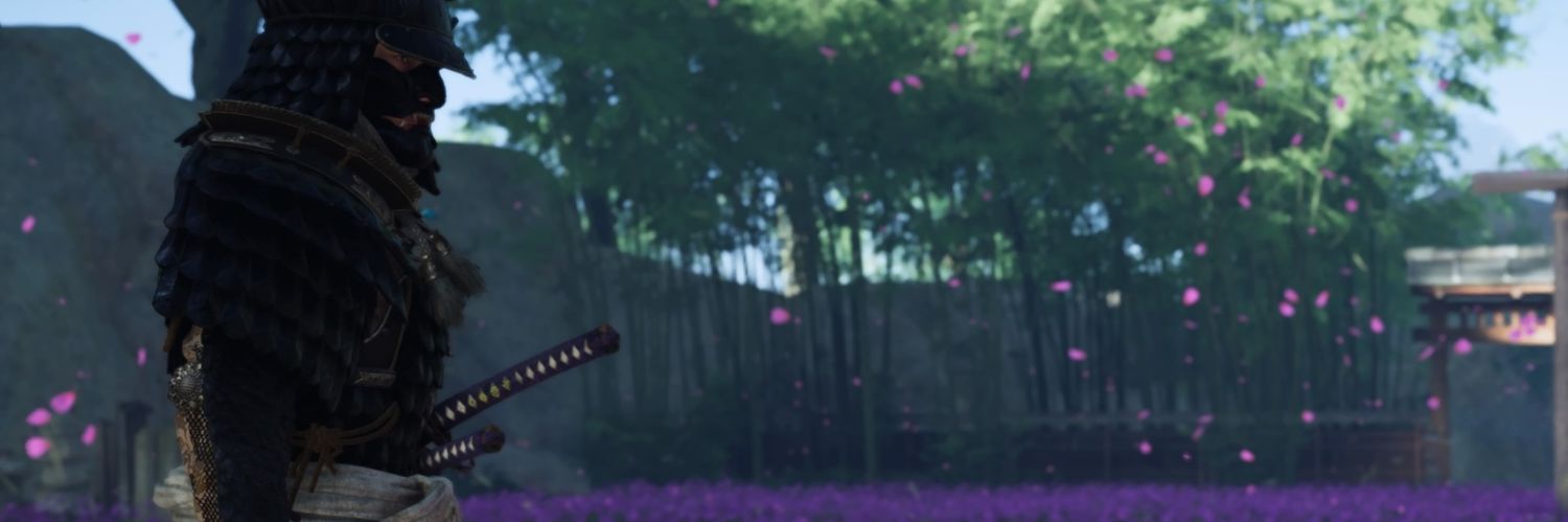 TF_DragonSword's profile banner image