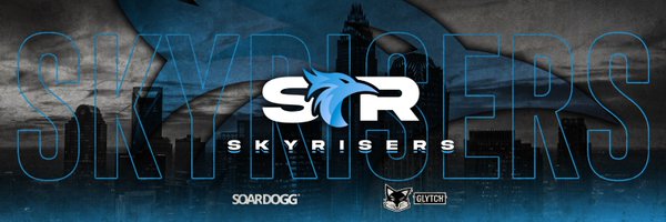 SkyRisers Profile Banner