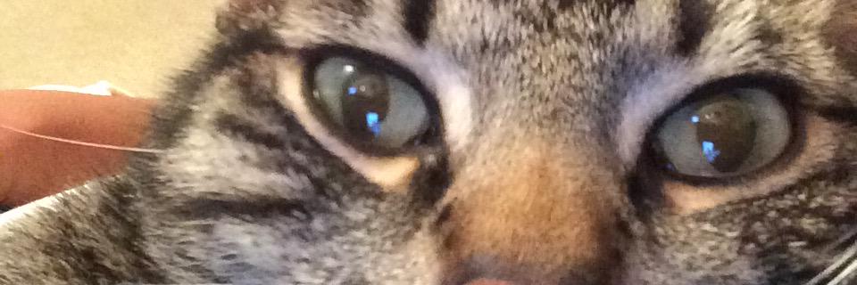 Boogiebx23's profile banner image