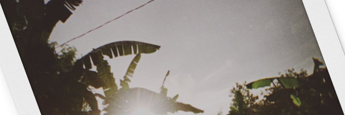 Montaalberts's profile banner image