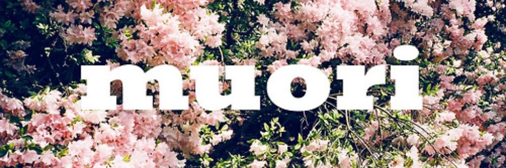 alle5's profile banner image