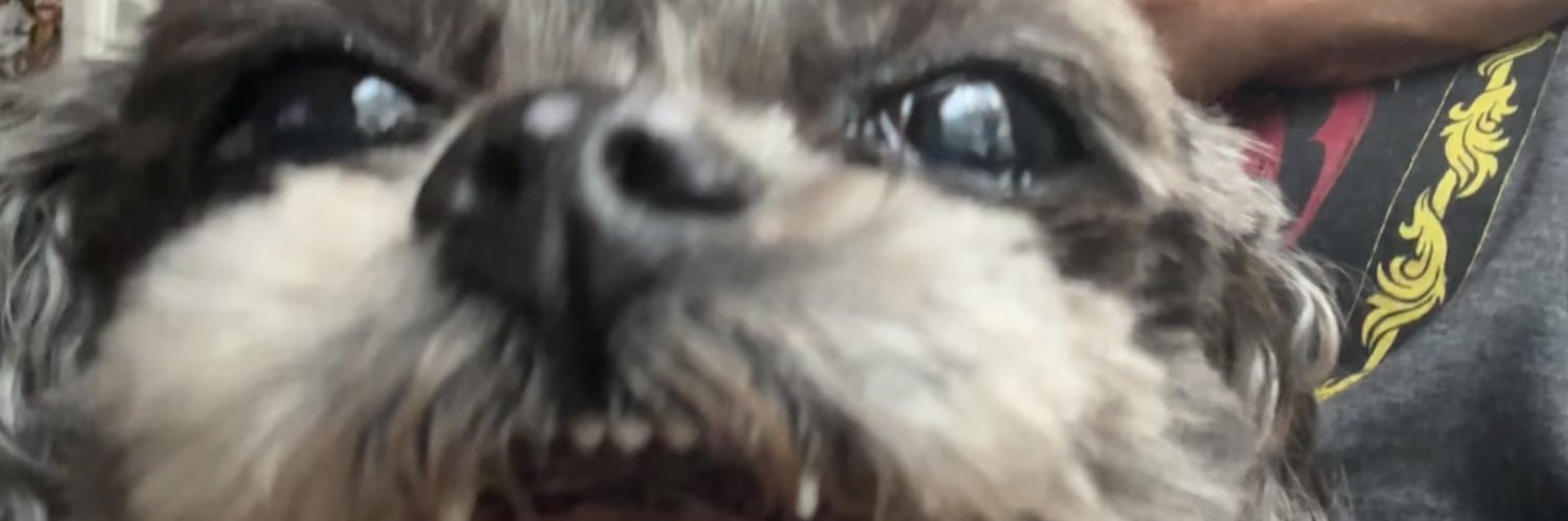 GinaLavetti's profile banner image