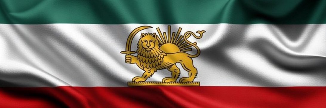 PhoenixRising🇮🇷 banner