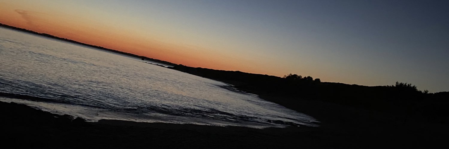 adidaviau's profile banner image