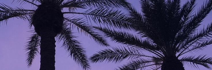 sarapvegece's profile banner image